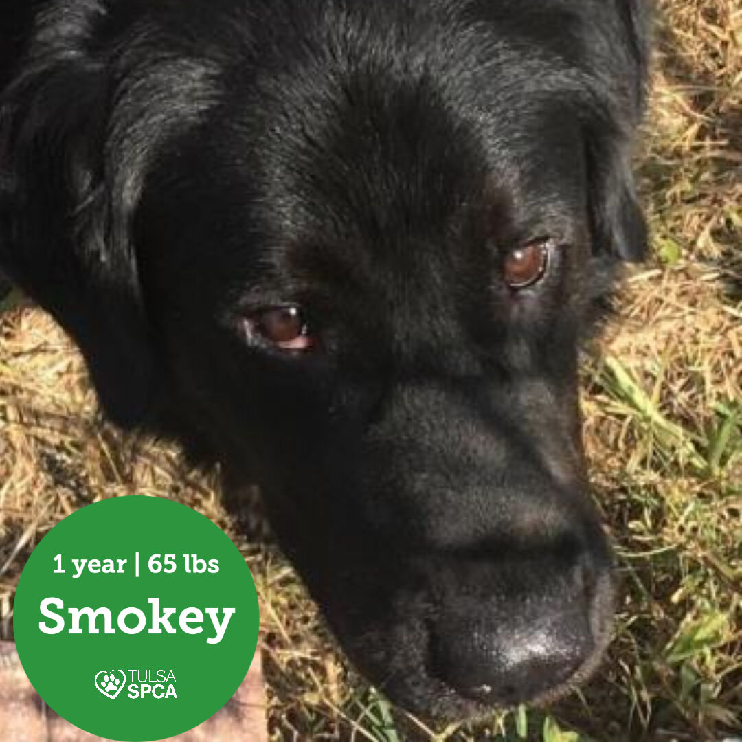 Smokey